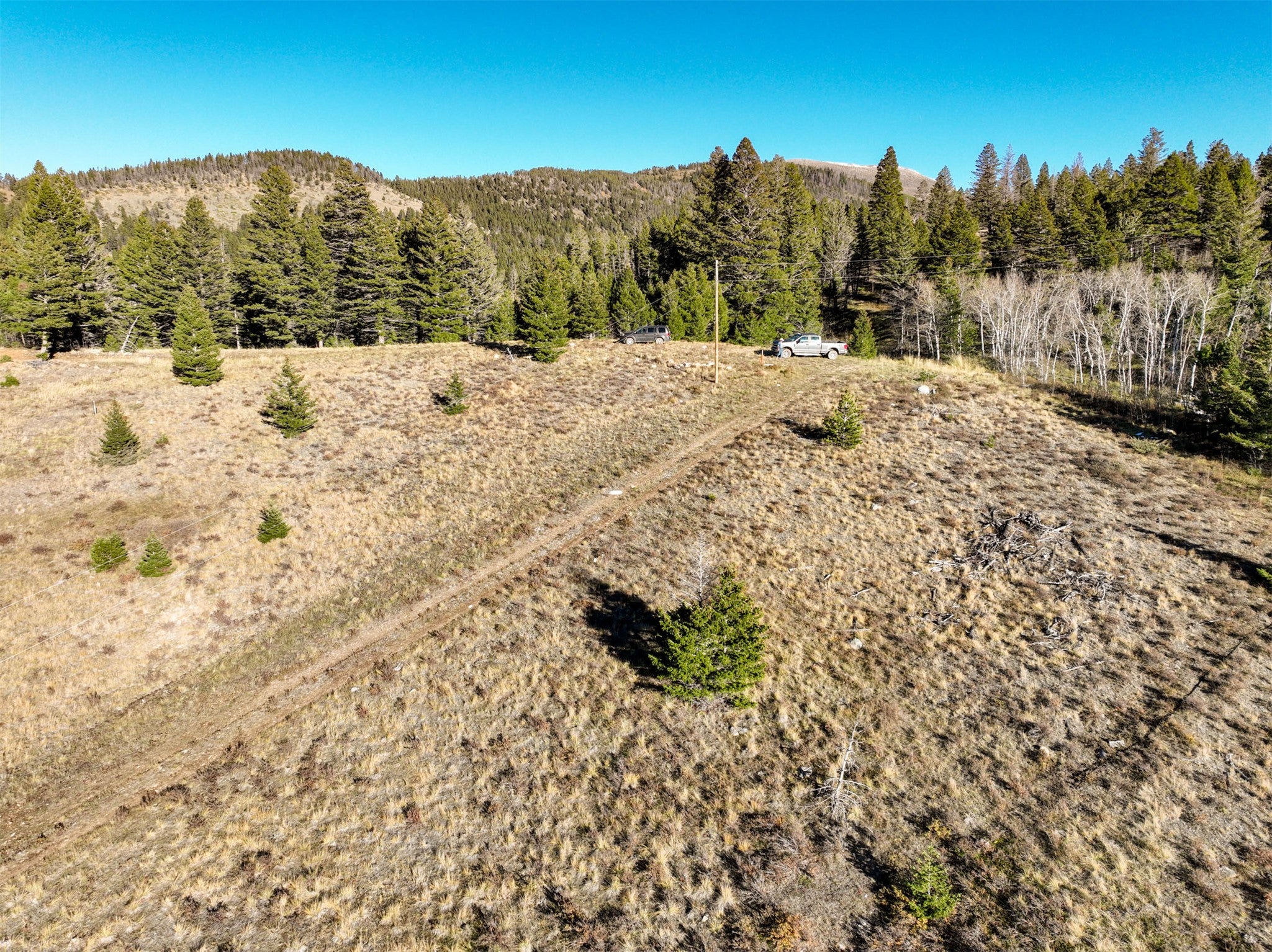 3528 Table Mountain Road Augusta, MT 59410 - Photo 10 of 33 Gallery Image 10
