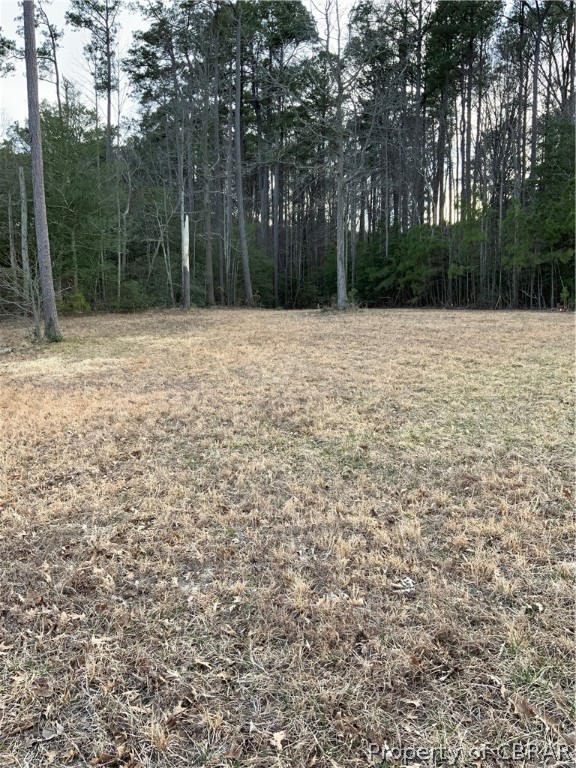 Lot 1 Neumans Road Heathsville, VA 22473 - Photo 3 of 11