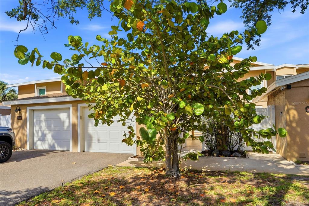 833 East Gulf Boulevard, Unit 103 Indian Rocks Beach, FL 33785 - Photo 4 of 51