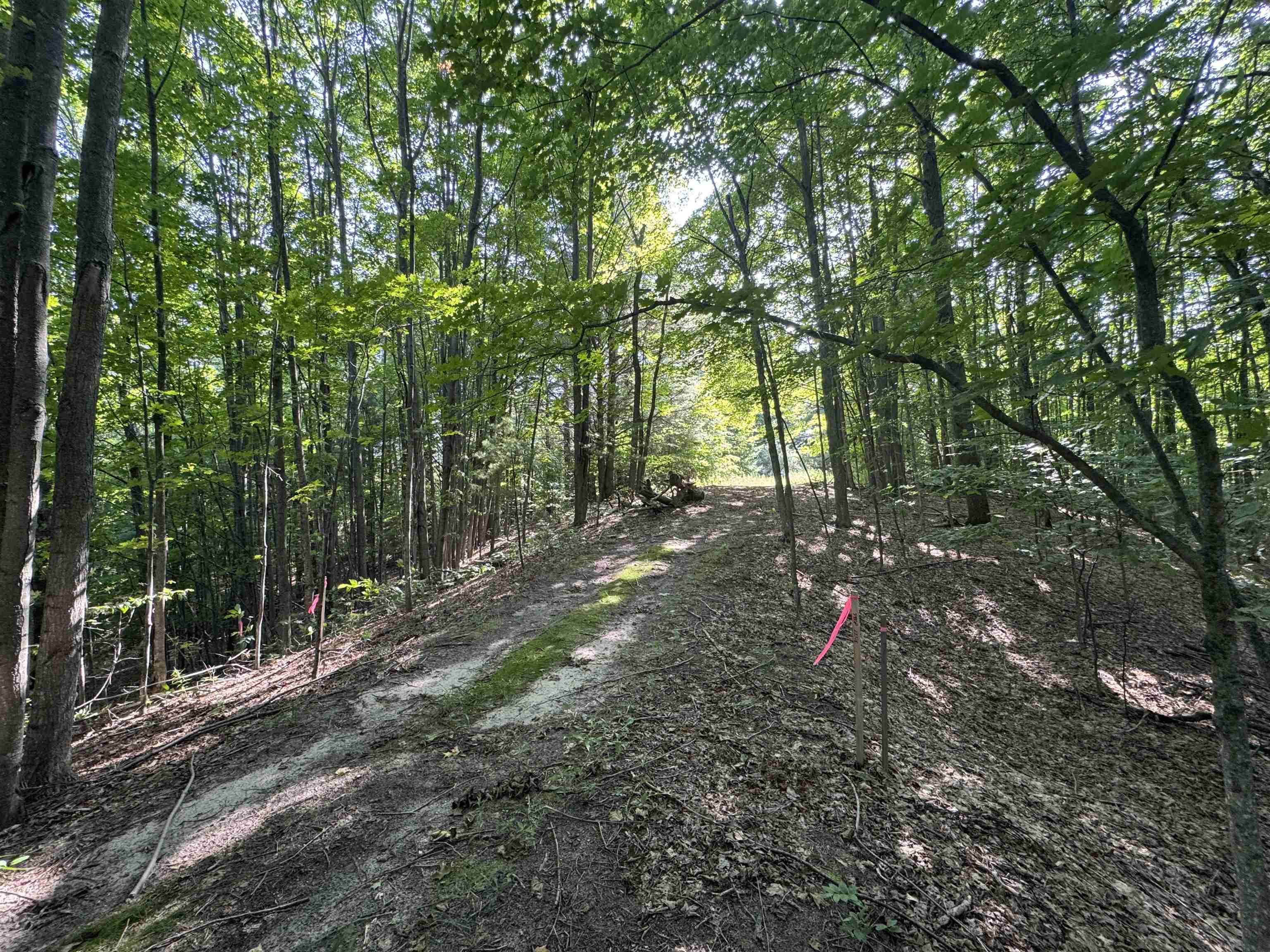 Lot #6 East Bellinger Road, Unit 6 BELLINGER ESTATES (FIN) Cedar, MI 49621 - Photo 16 of 34