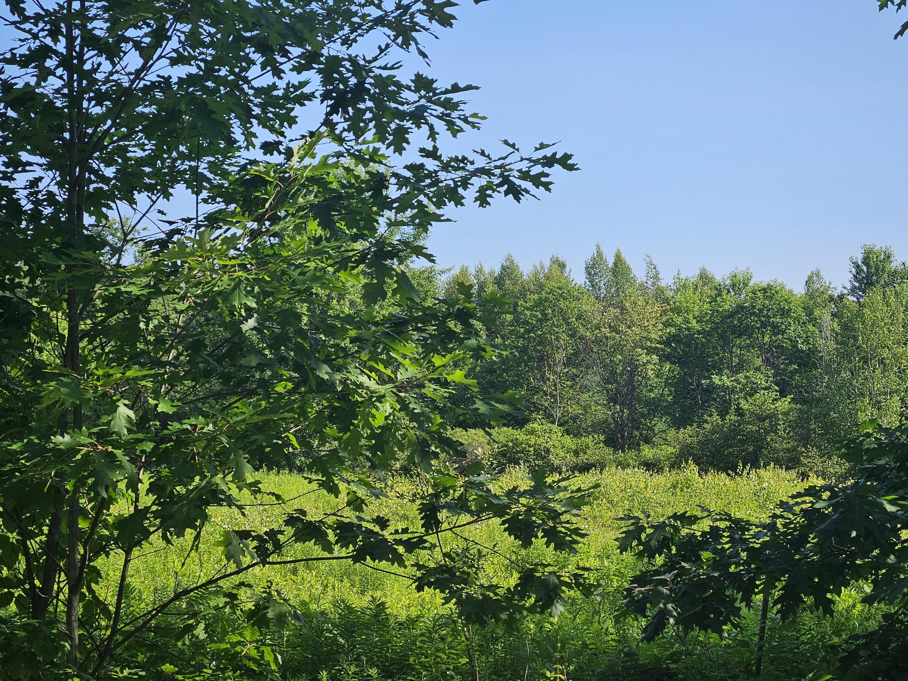 Lot 8-9 Lakeview Road Milo, ME 04463 - Photo 12 of 26 1000016408