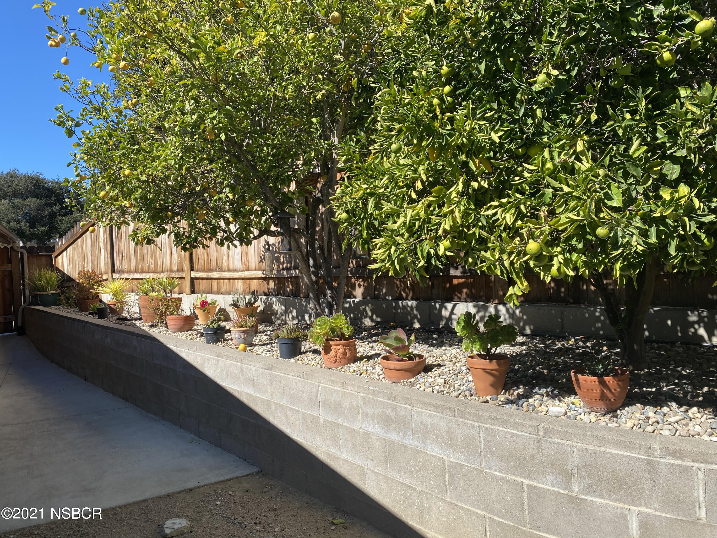 4071 Club House Road Lompoc, CA 93436 - Photo 50 of 59 Side Yard Fruit Trees