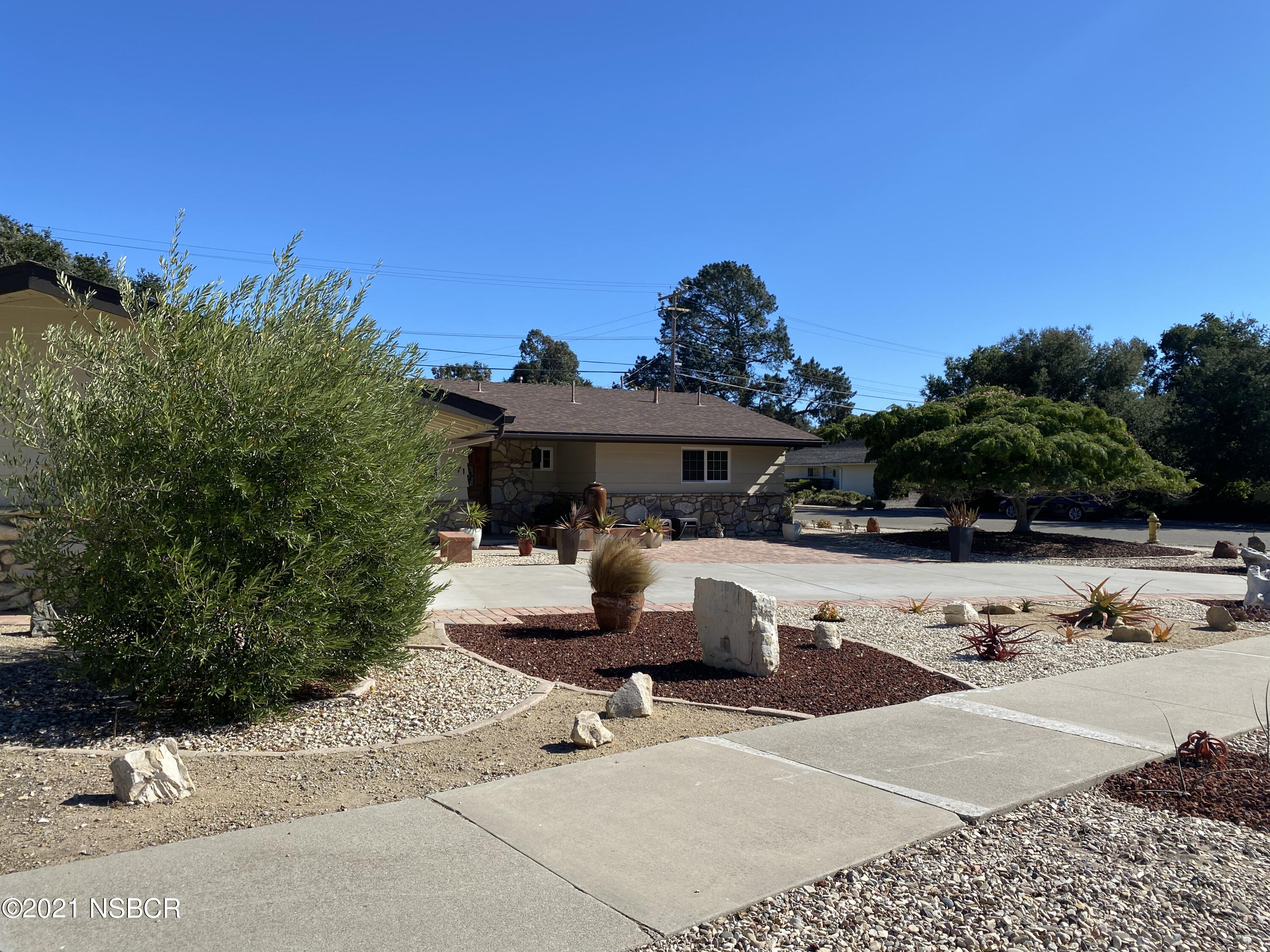 4071 Club House Road Lompoc, CA 93436 - Photo 57 of 59 Olive Tree