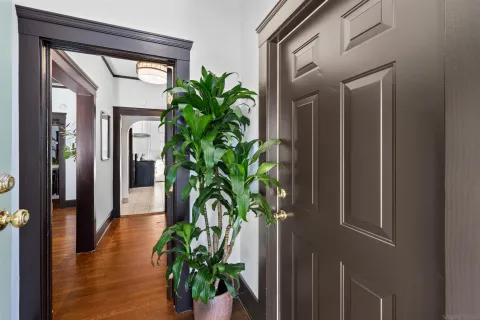 a view of a hallway with wooden floor and a potted plant