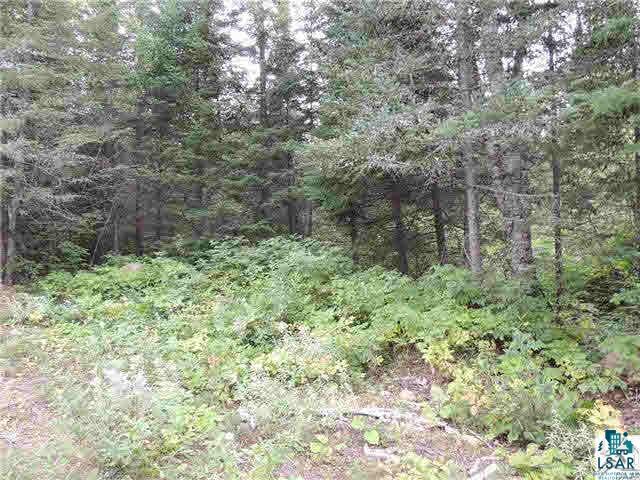 Solberg Lane Grand Marais, MN 55604 - Photo 11 of 12 Gallery Image 11