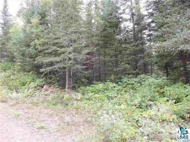 Solberg Lane Grand Marais, MN 55604 - Photo 3 of 12 Gallery Image 3