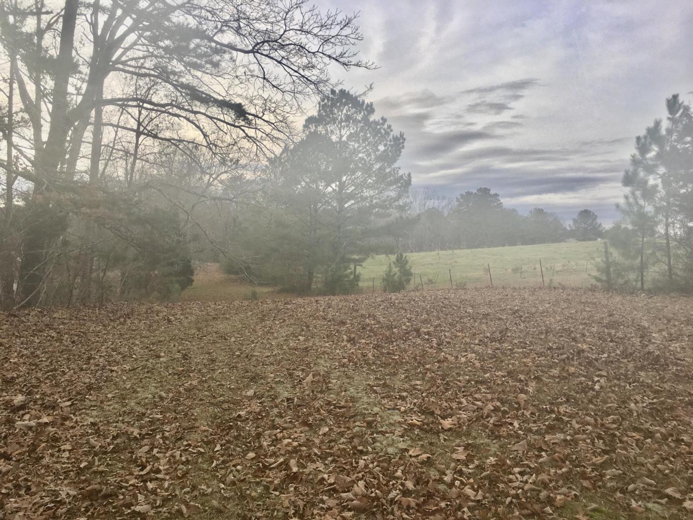 Tract #1 Tract Road LaFayette, GA 30728 - Photo 2 of 3 ce1