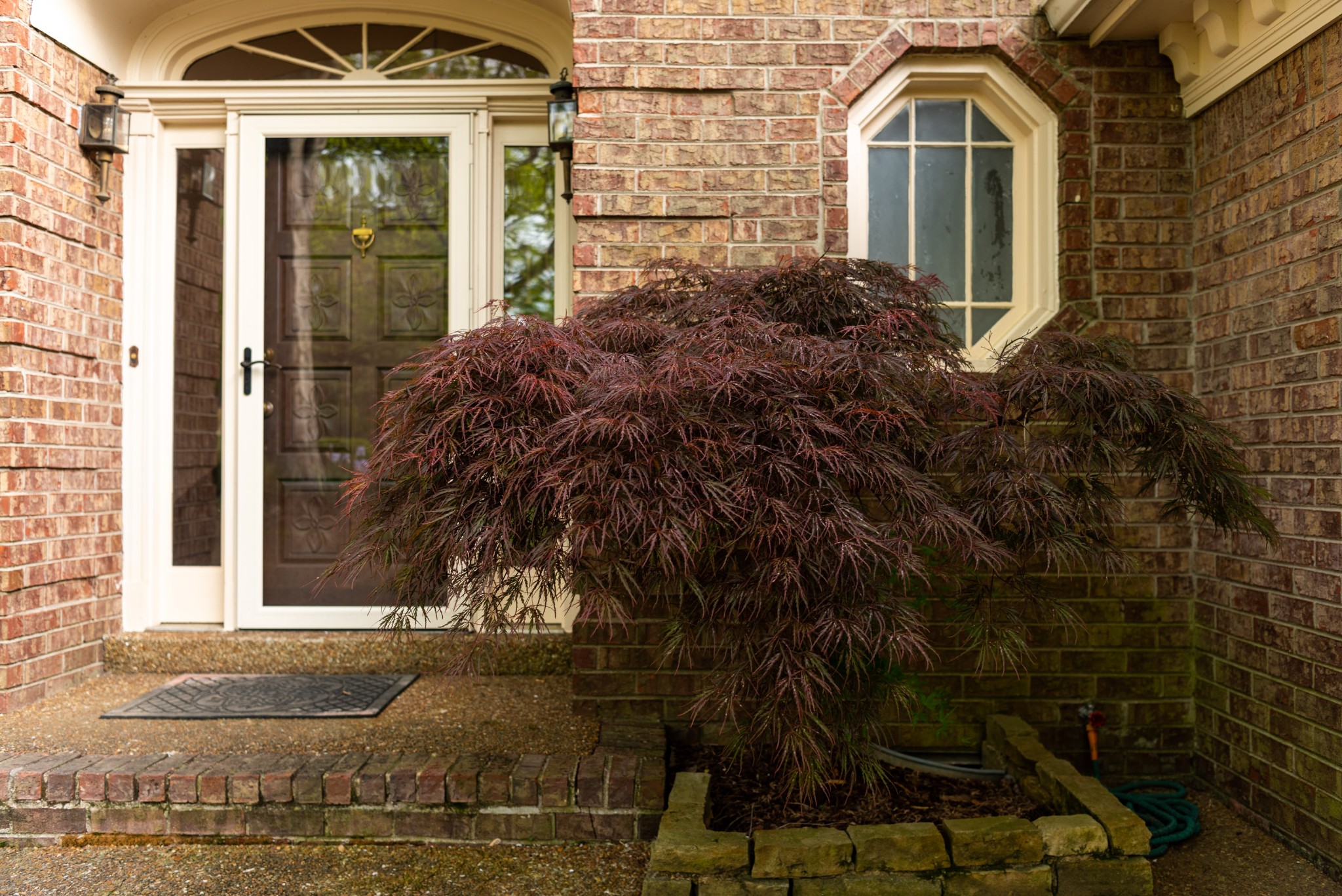 6948 Stone Creek Road Nashville, TN 37221 - Photo 4 of 37 a front view of a house with a yard