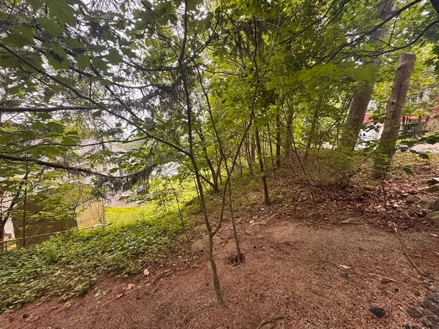 a view of a yard with a tree