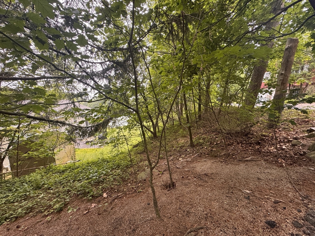 3 Selden Street Worcester, MA 01605 - Photo 3 of 4 a view of a yard with a tree