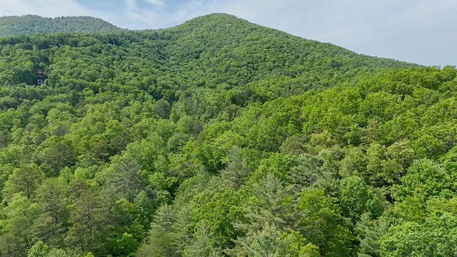 a view of a large yard with lots of green space