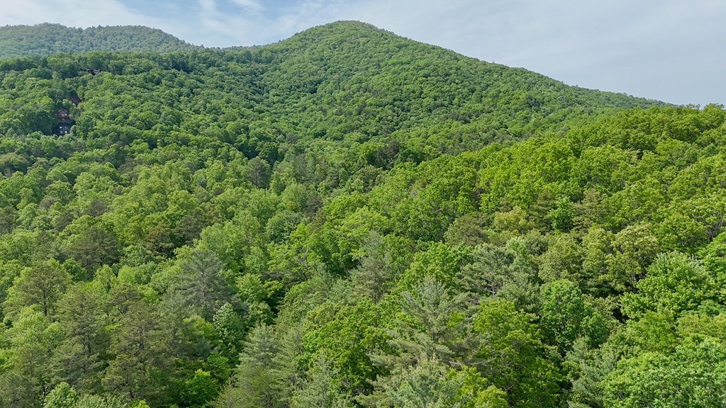 0 Hialeah Way Murphy, NC 28906 - Photo 11 of 12 a view of a large yard with lots of green space