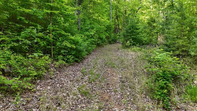 a view of a large yard with lots of green space