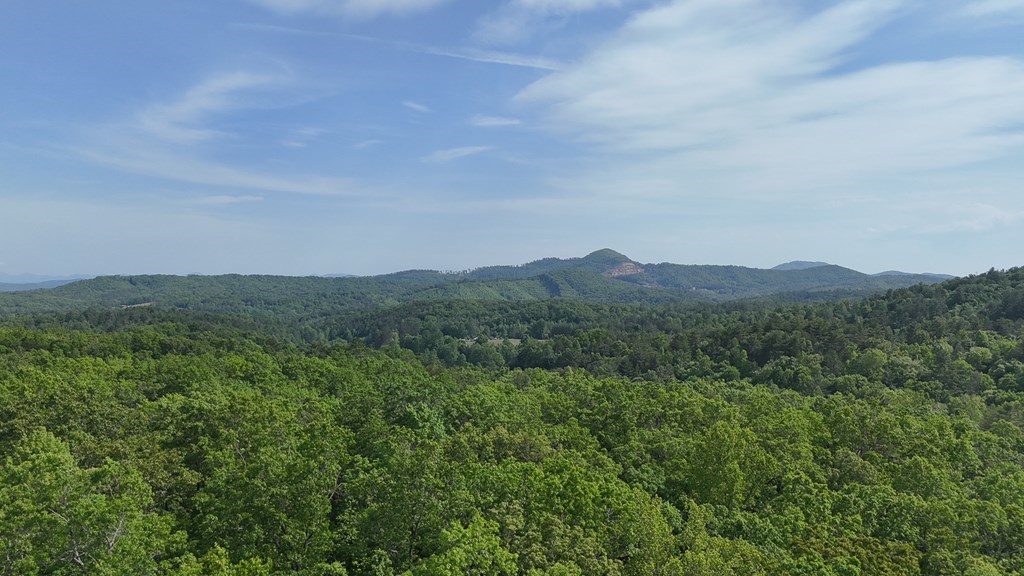 0 Hialeah Way Murphy, NC 28906 - Photo 5 of 12 a view of a city with lush green forest