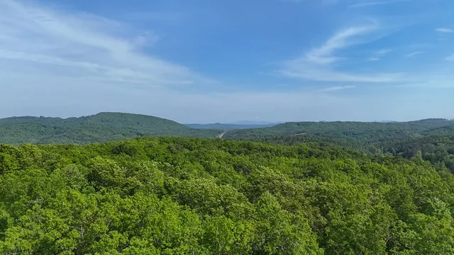 a view of a lush green outdoor space with a lake view