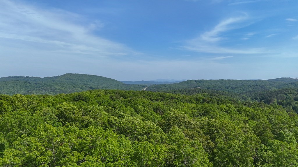 0 Hialeah Way Murphy, NC 28906 - Photo 7 of 12 a view of a lush green outdoor space with a lake view