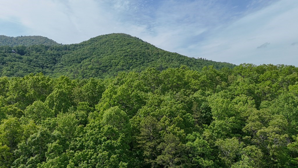 0 Hialeah Way Murphy, NC 28906 - Photo 9 of 12 a view of a large green field