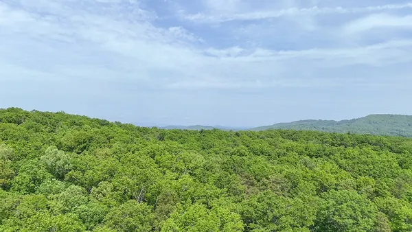 a view of a green field with lots of bushes