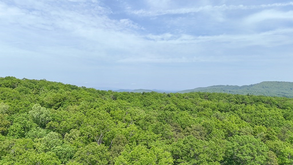 0 Hialeah Way Murphy, NC 28906 - Photo 10 of 12 a view of a green field with lots of bushes