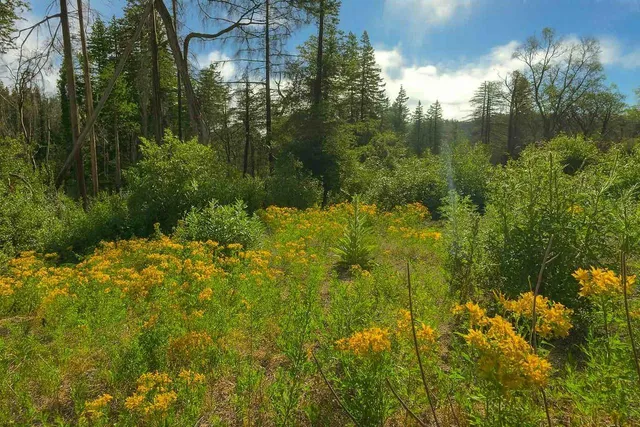 $3,895 | Undisclosed Address, Santa Cruz, CA 95060