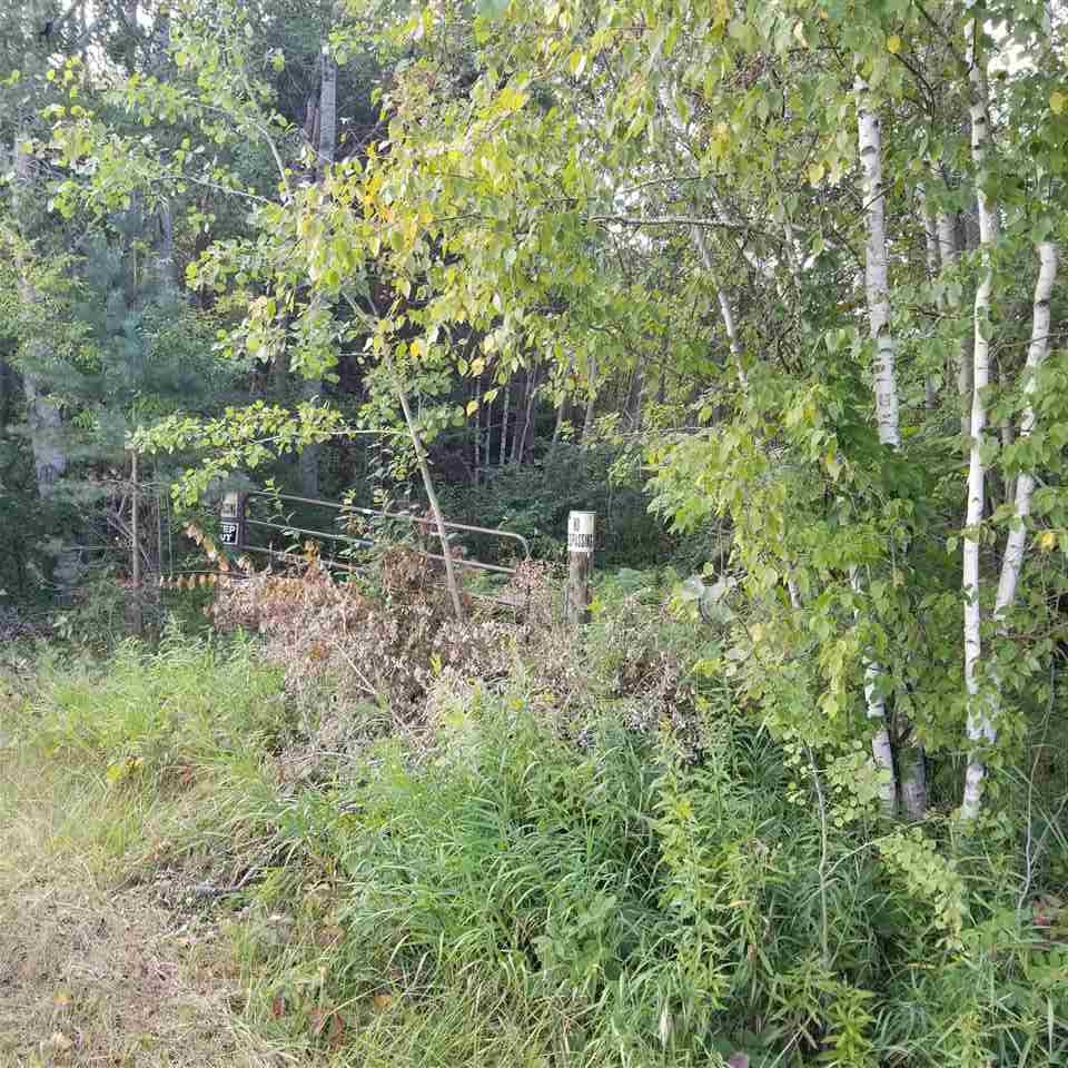 0 West Erickson Road Linwood, MI 48634 - Photo 1 of 2