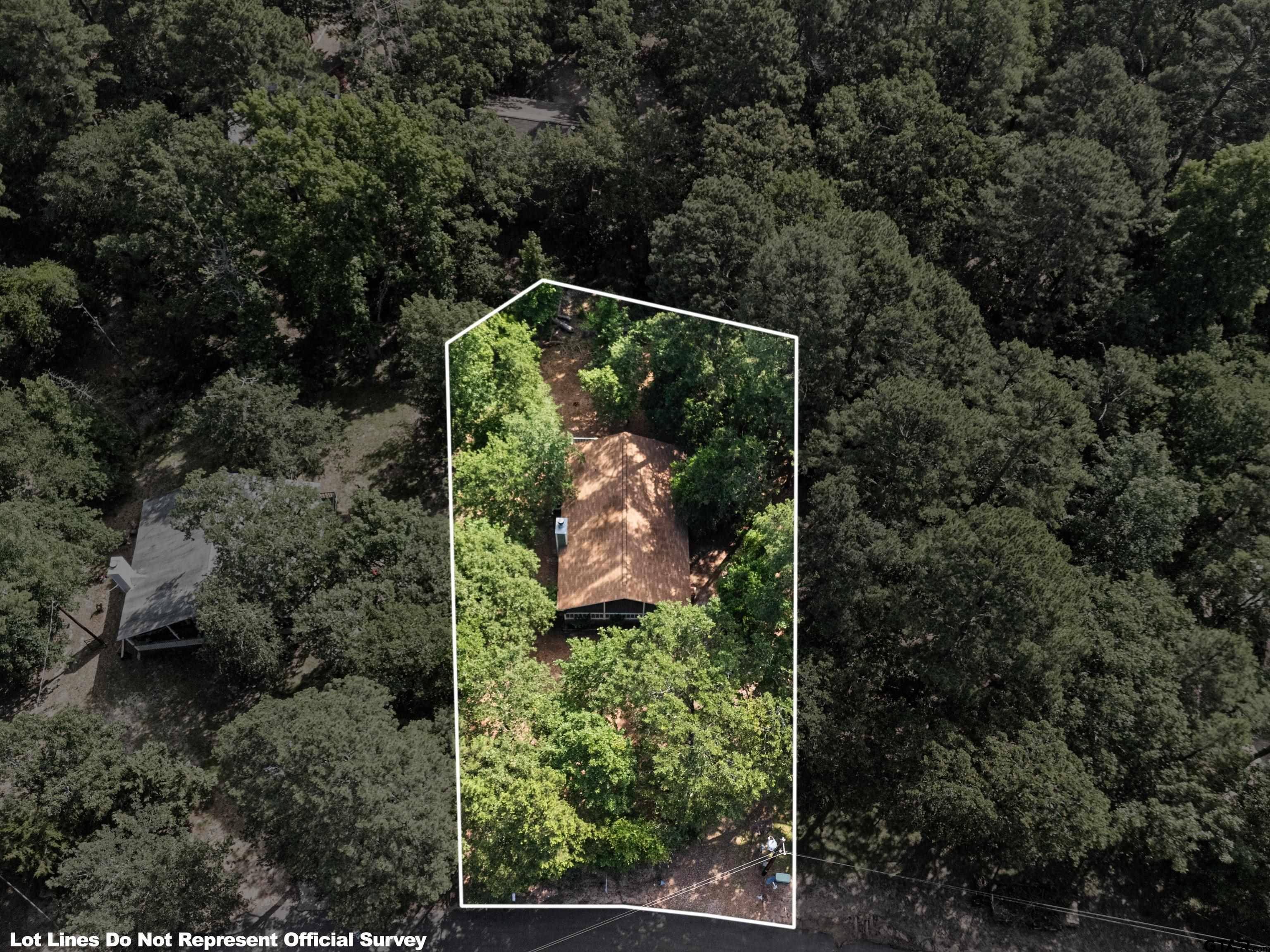 149 Primrose Path Holly Lake Ranch, TX 75765 - Photo 3 of 36 an aerial view of house with outdoor space