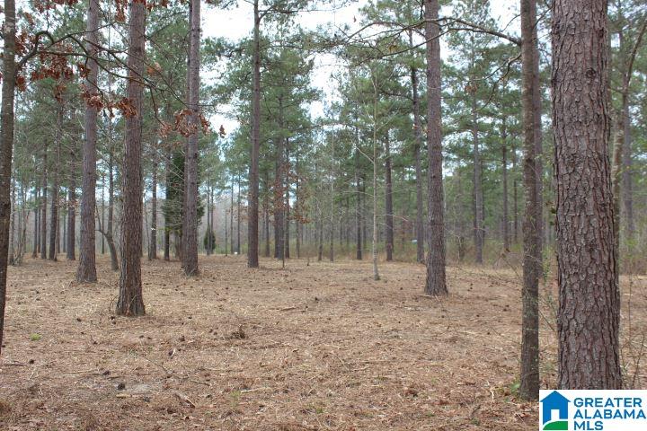 Liberty Shores Boulevard Vincent, AL 35178 - Photo 6 of 11