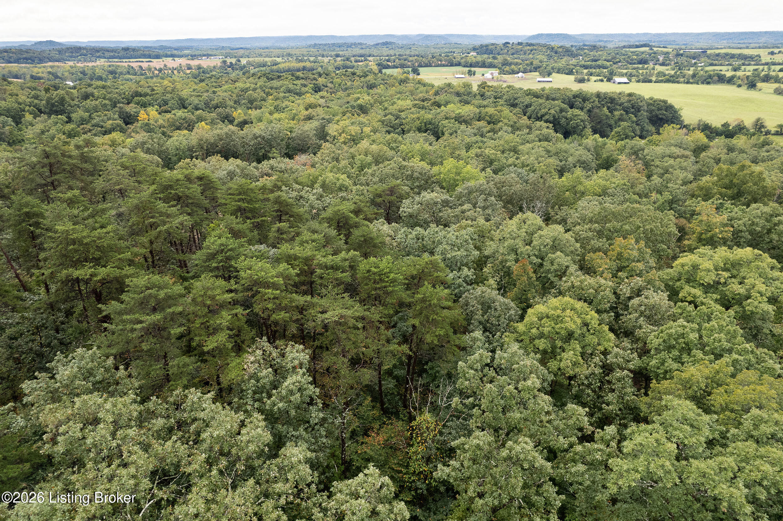550 Wilson Creek Road Boston, KY 40107 - Photo 13 of 15 550WilsonCreekRd-7