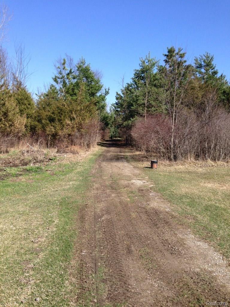 4124 North Henderson Road Davison, MI 48423 - Photo 18 of 25 Path from back yard back to the barn and deer field