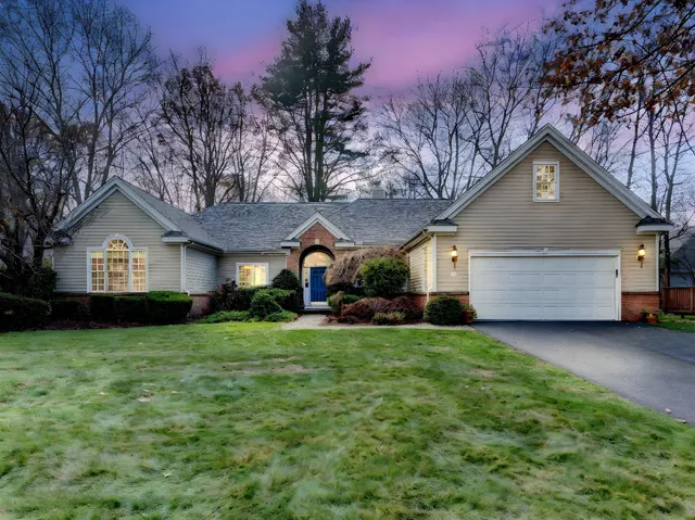 a view of a yard with a tree