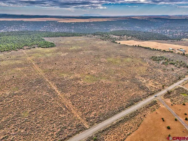 a view of an ocean beach
