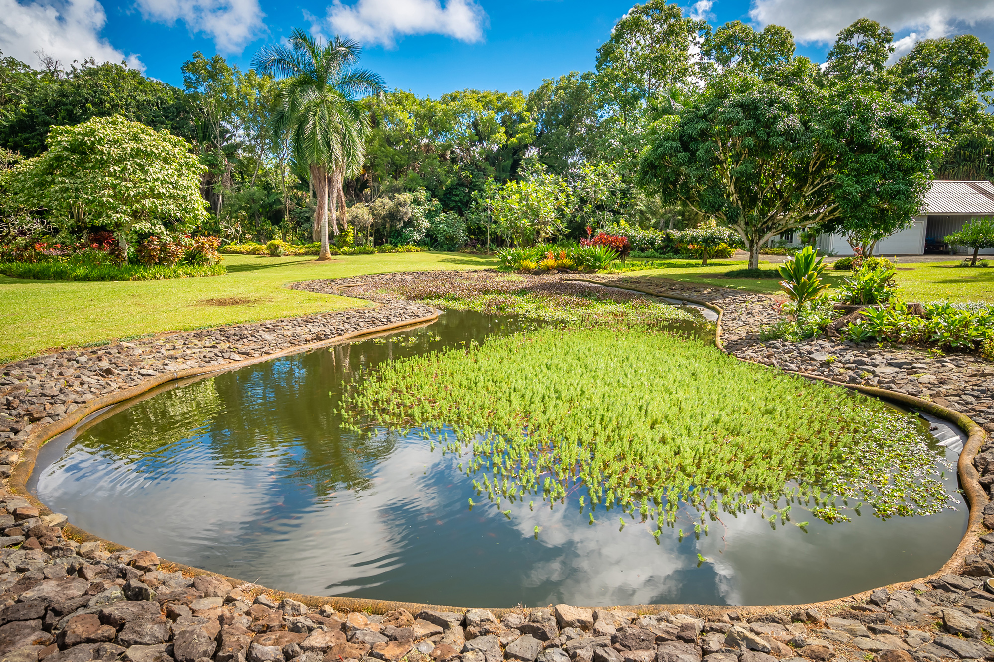 4585 Kuawa Road, Unit 2 Kilauea, HI 96754 - Photo 20 of 28
