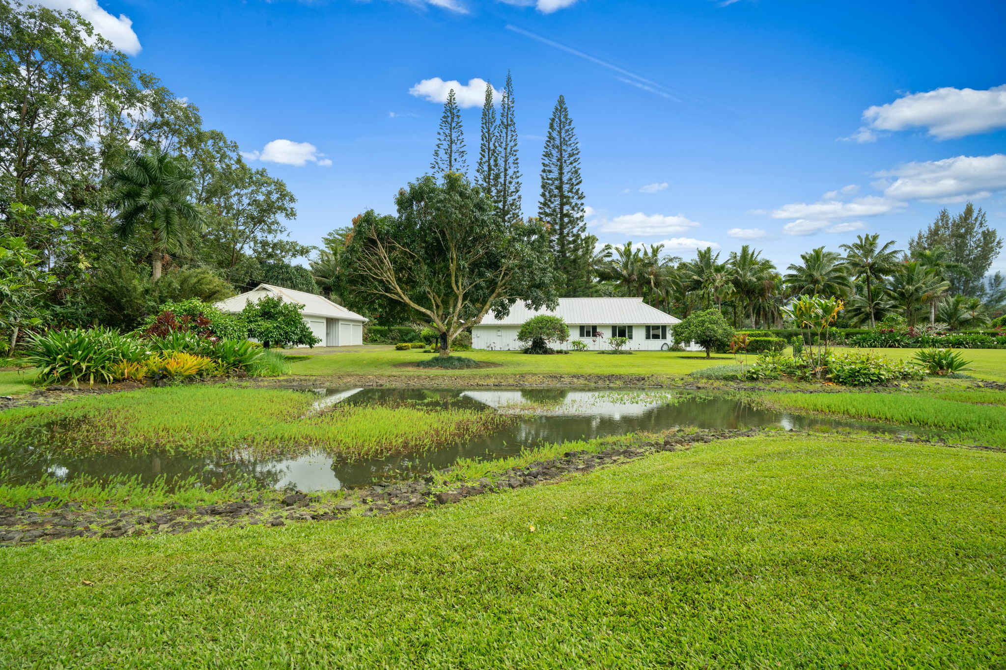 4585 Kuawa Road, Unit 2 Kilauea, HI 96754 - Photo 2 of 28
