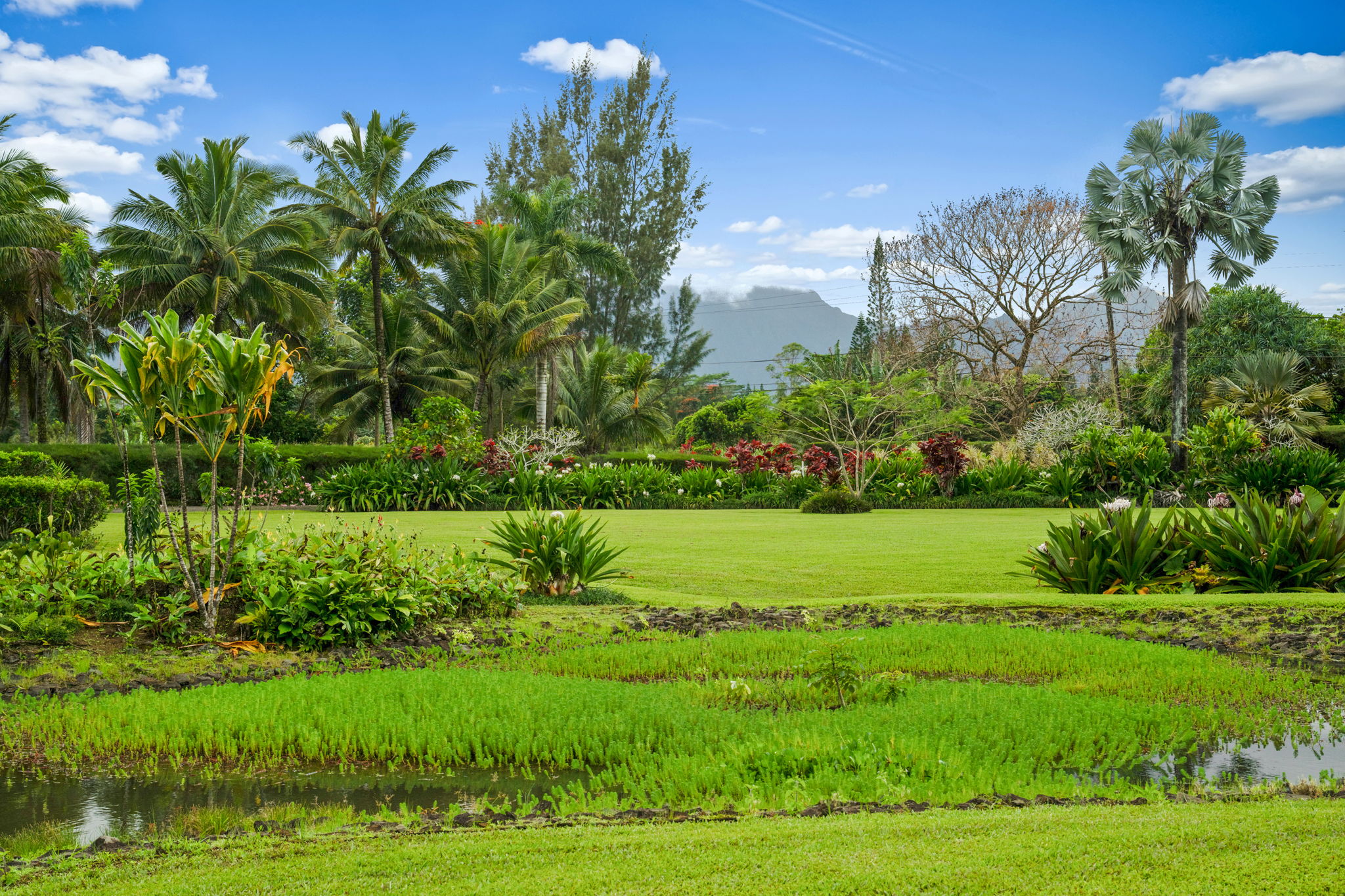 4585 Kuawa Road, Unit 2 Kilauea, HI 96754 - Photo 21 of 28