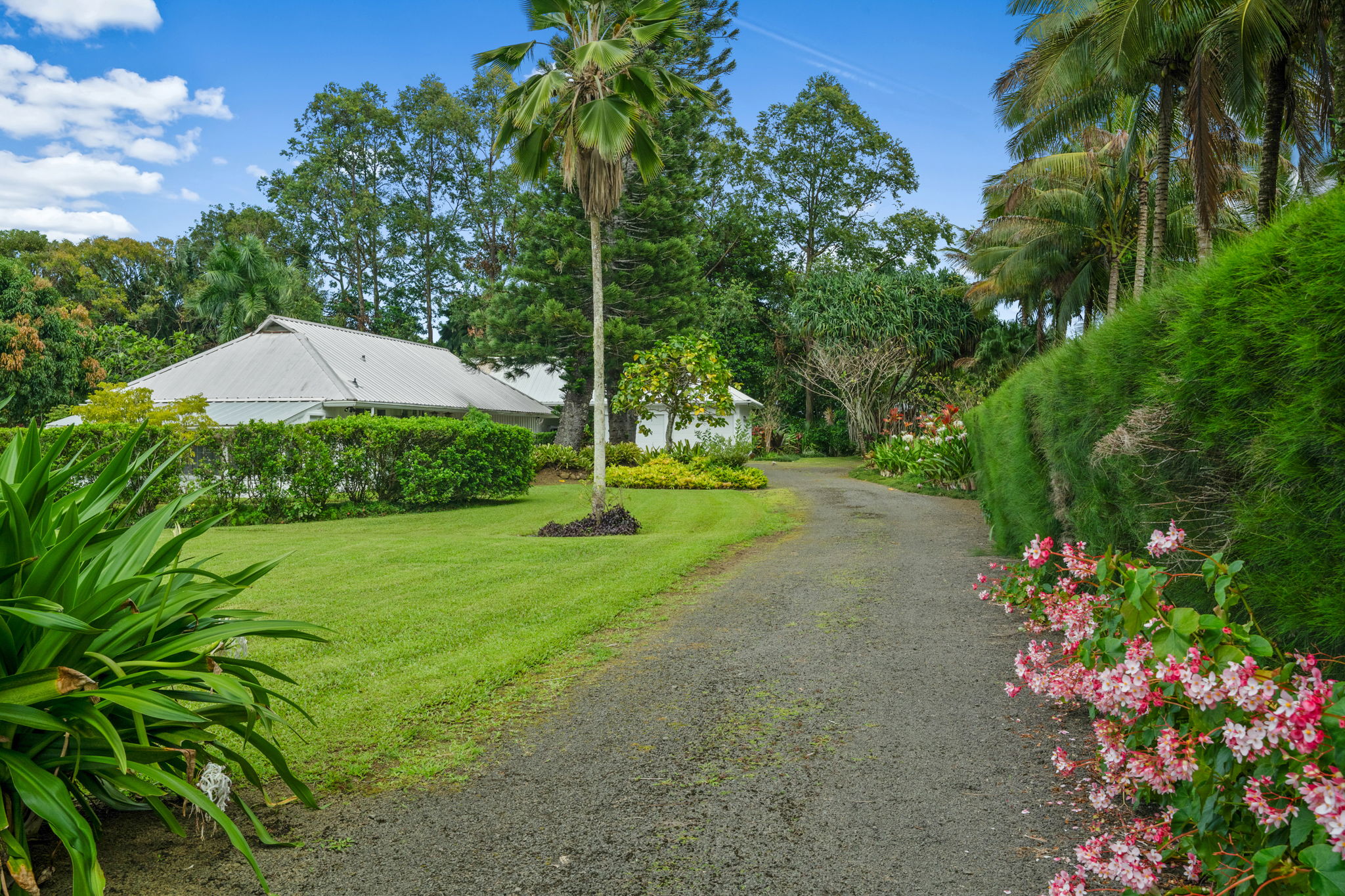4585 Kuawa Road, Unit 2 Kilauea, HI 96754 - Photo 23 of 28
