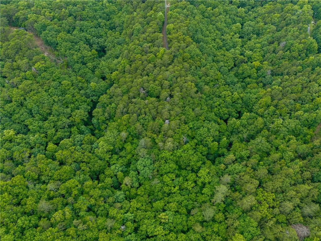 1332 Birch Lane Ranger, GA 30734 - Photo 24 of 48