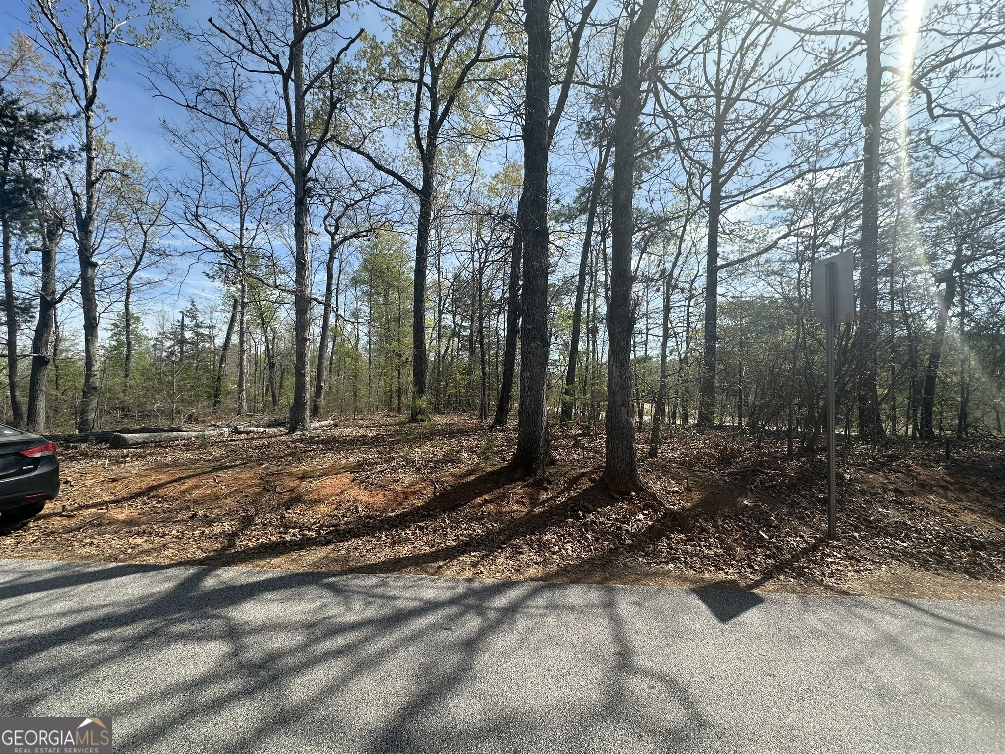 1035 Jenkins Ferry Road Martin, GA 30557 - Photo 2 of 3