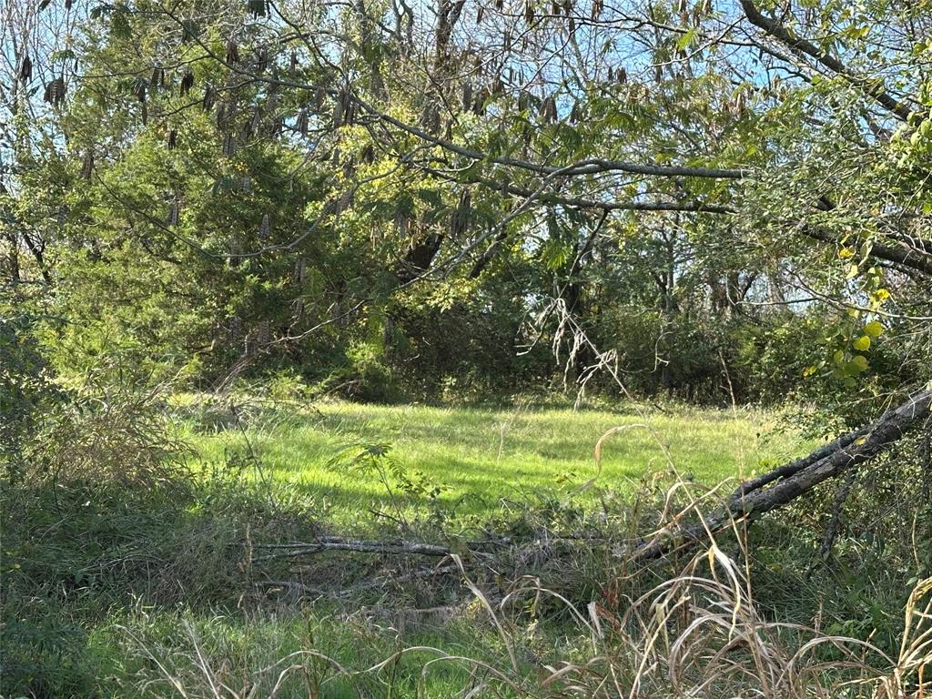 731 Northwest 1st Street Cooper, TX 75432 - Photo 2 of 9 a view of a yard with a tree