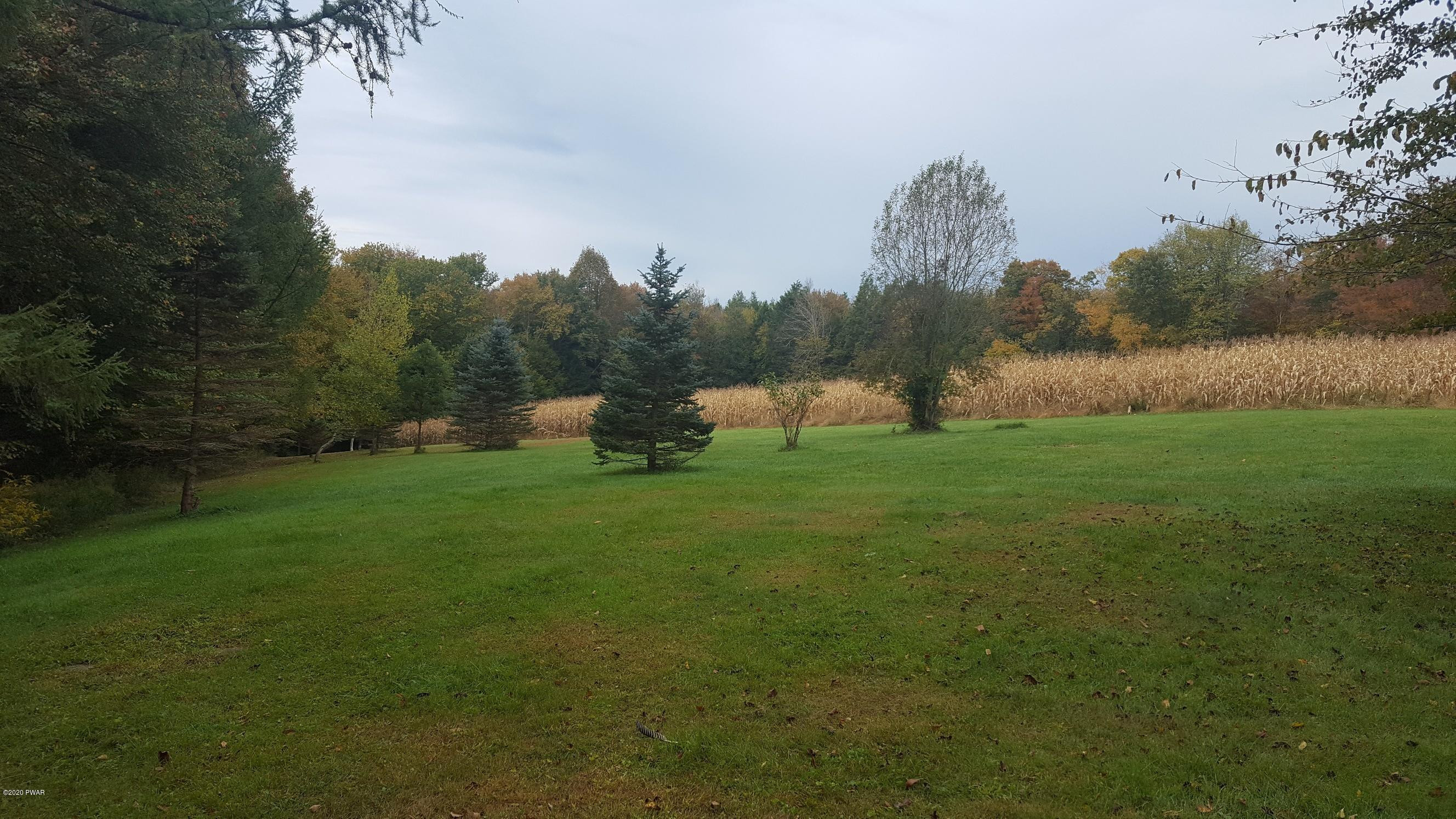 554 St Tikhons Road Waymart, PA 18472 - Photo 17 of 29 a view of a garden with trees