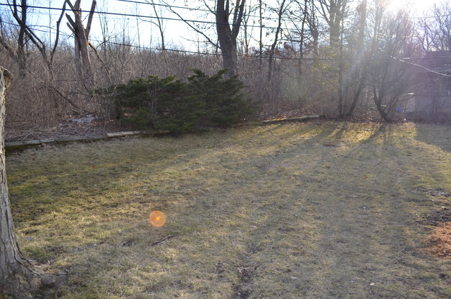 1130 Whitfield Road Northbrook, IL 60062 - Photo 24 of 25 a view of outdoor space and yard