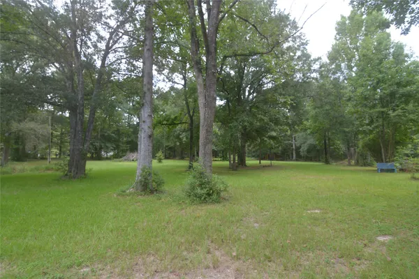 a view of a trees in a park
