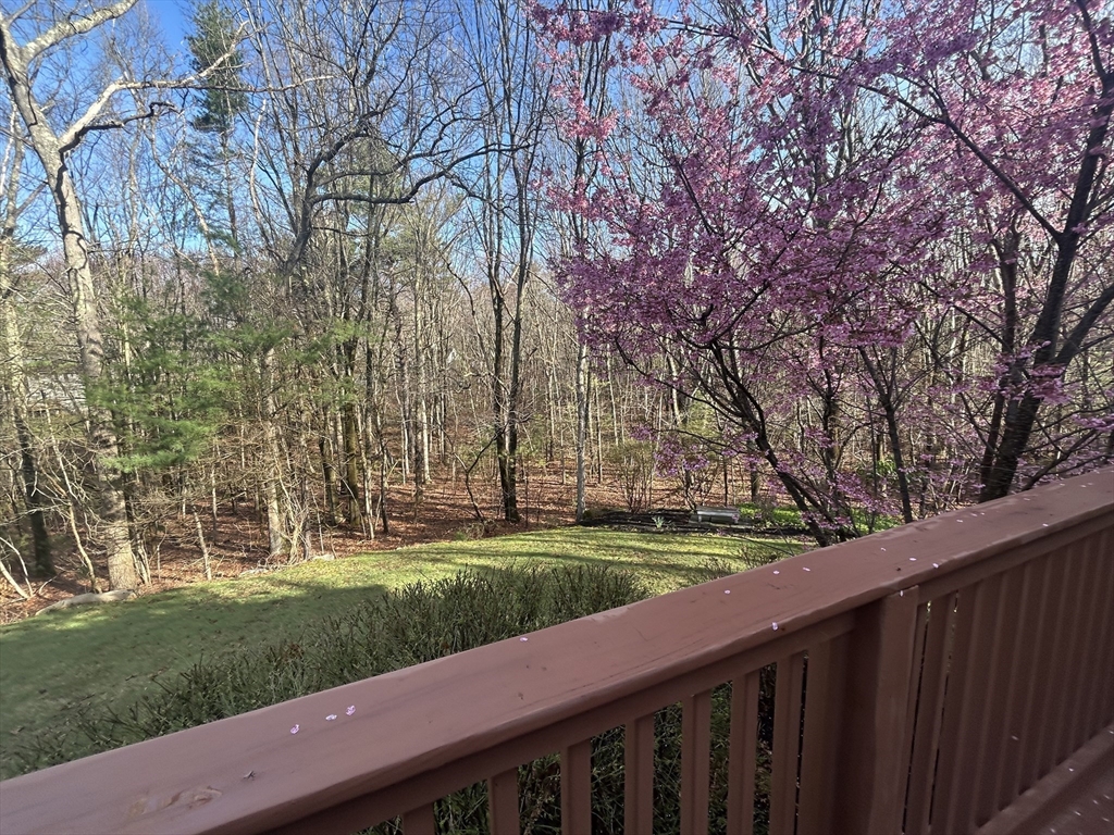 69 Jefferson Road Franklin, MA 02038 - Photo 31 of 38