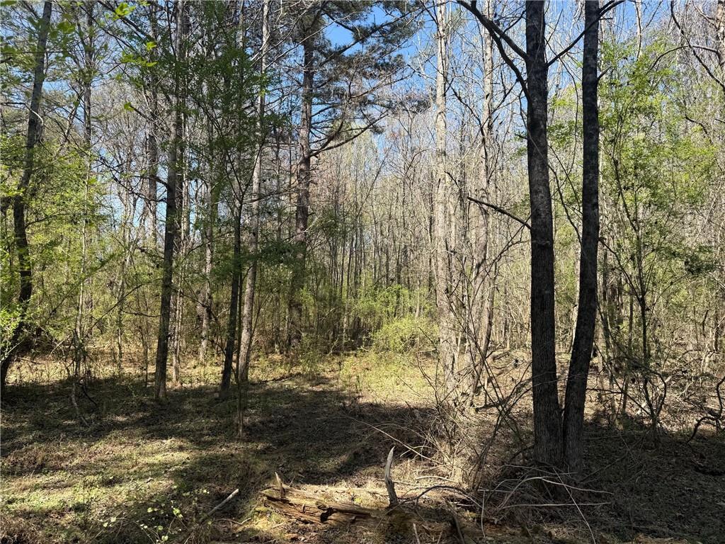 78 Mullinax Road Taylorsville, GA 30178 - Photo 2 of 9 a view of a yard with large trees
