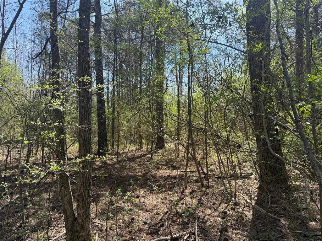 78 Mullinax Road Taylorsville, GA 30178 - Photo 4 of 9 a view of a forest