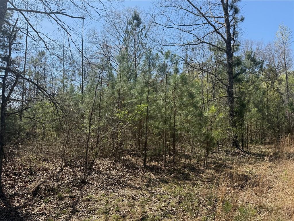 78 Mullinax Road Taylorsville, GA 30178 - Photo 6 of 9 a view of a forest filled with trees