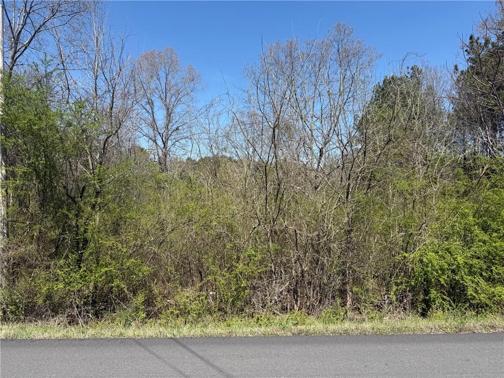 78 Mullinax Road Taylorsville, GA 30178 - Photo 8 of 9 a view of a garden with trees in the background
