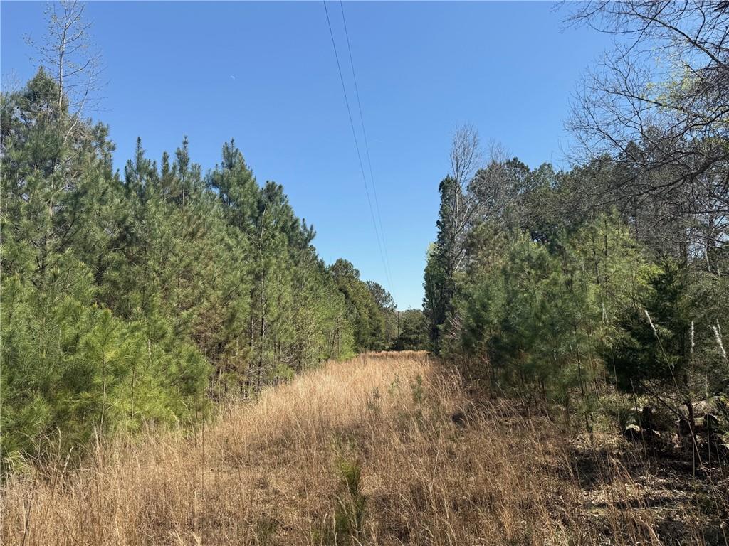 78 Mullinax Road Taylorsville, GA 30178 - Photo 9 of 9 a view of a forest with trees in the background