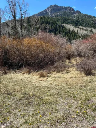 $30,000 | Lot 48 Cottonwood Drive, Antonito, CO 81120