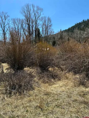a view of a yard