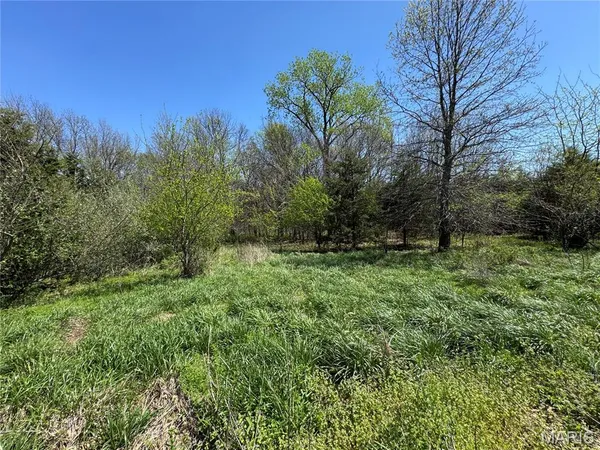 $180,000 | 53424 Trabue Lane, New London, MO 63459